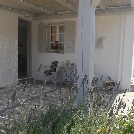 Casa Darsi *